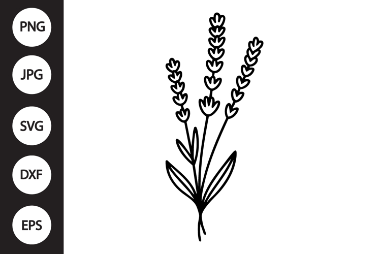 Lavender Botanical SVG