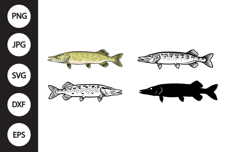 Northern Pike SVG, Northern Pike Clipart