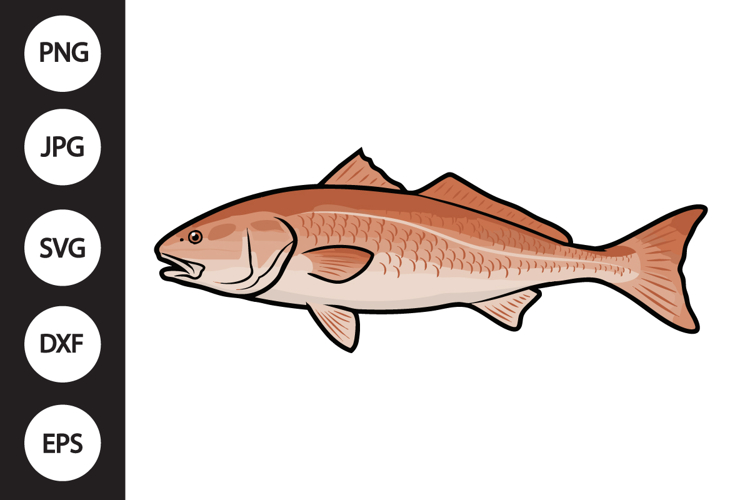 Redfish SVG example image 1