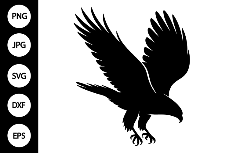 Hawk Clipart Image 12