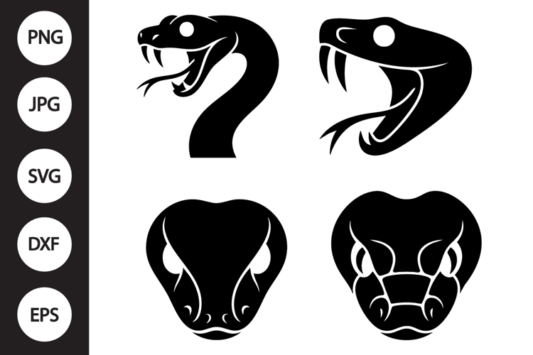 Snake Clipart Image 12