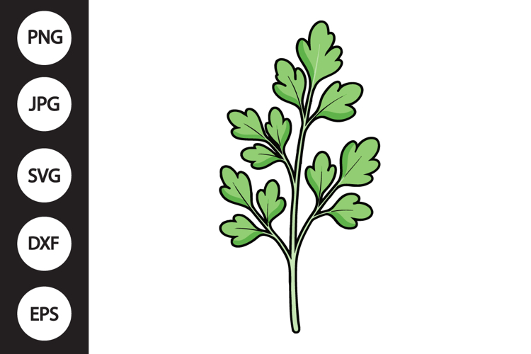 Chervil Herb SVG