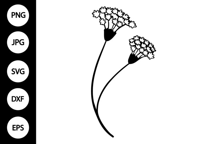 Flower Clipart Black And White Image 11