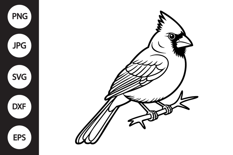 Cardinal Outline SVG, Coloring Page