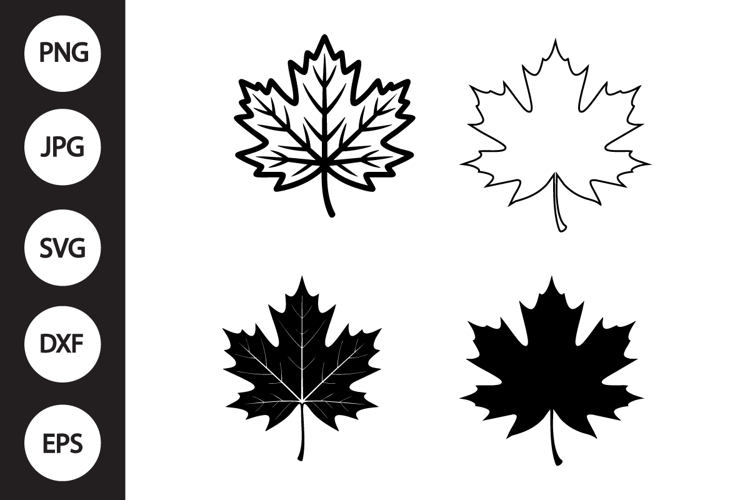 Leaf Clipart Image 11