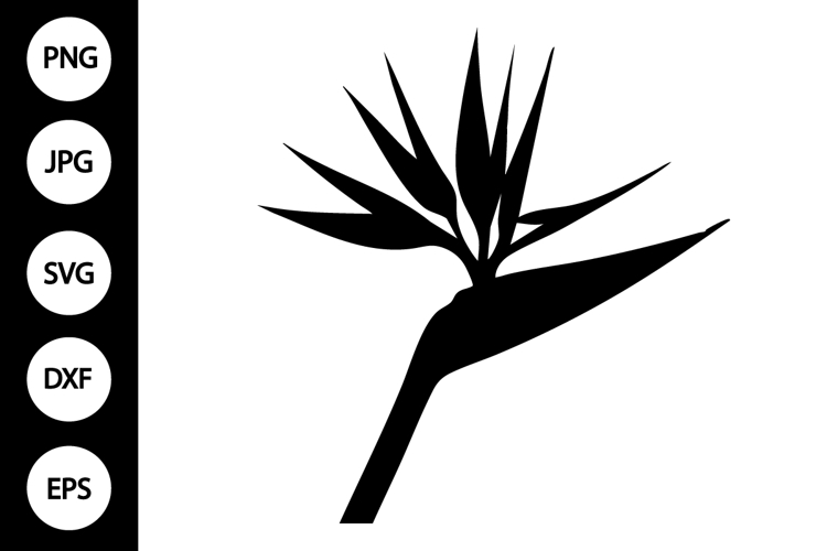 Bird Silhouettes