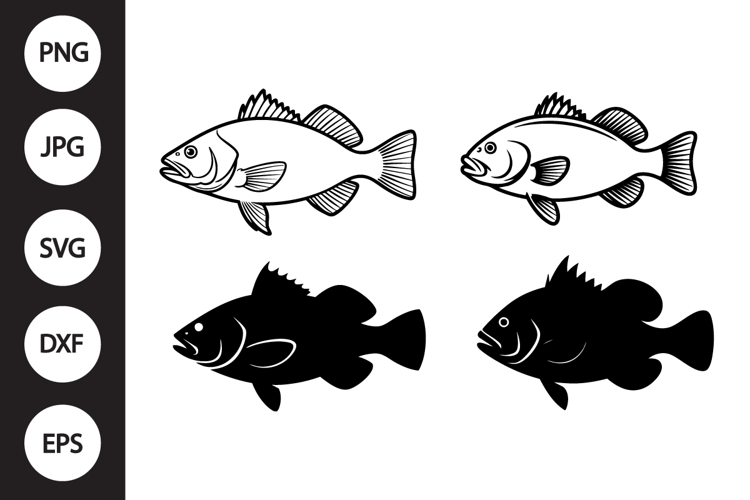 Black Drum Fish SVG, Black Drum Fish Clipart