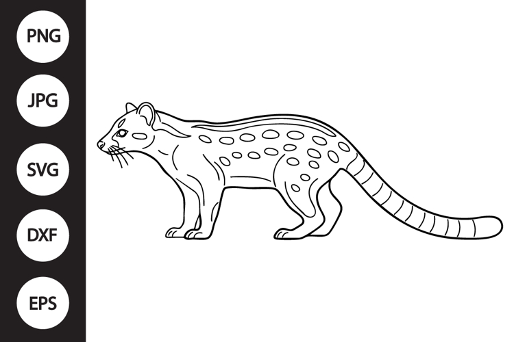 African Palm Civet SVG