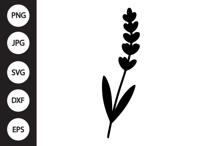 Lavender Botanical SVG