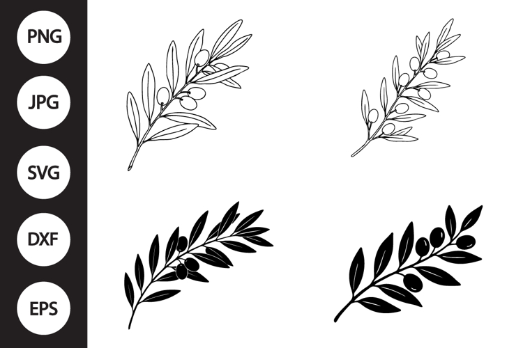 Olive Branch Clipart