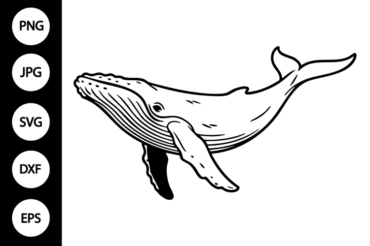 Whale Silhouette Image 23