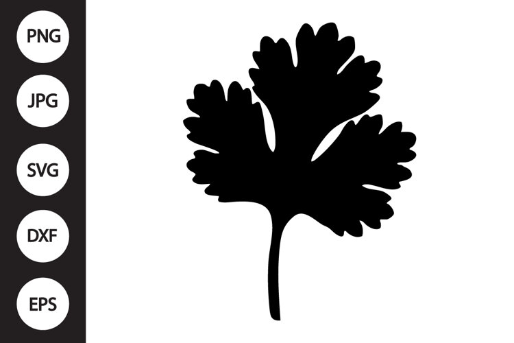 Cilantro SVG example image 1
