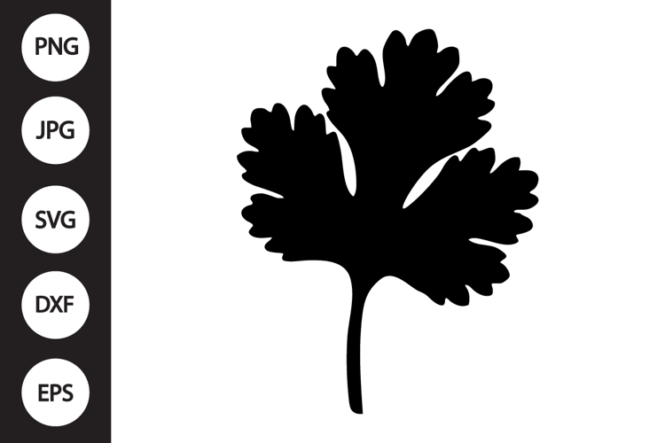 Cilantro SVG