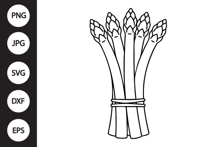 Asparagus SVG example image 1