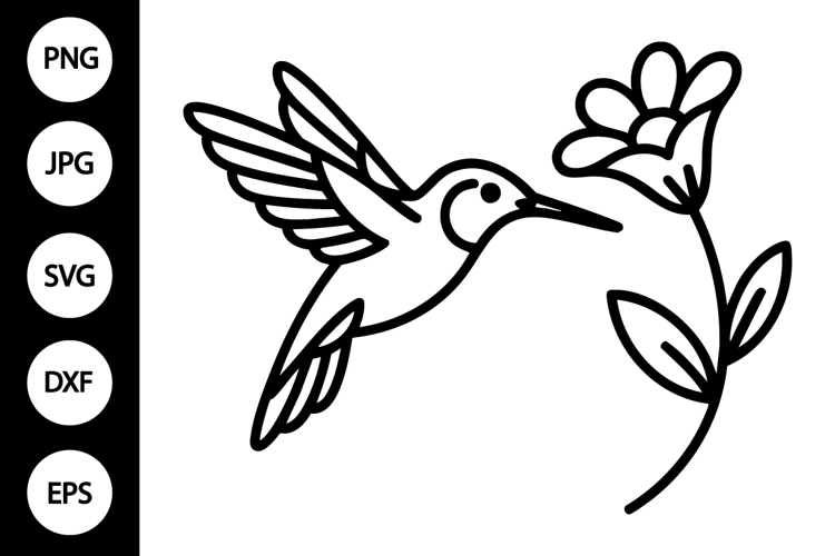 Hummingbird Svg Image 7