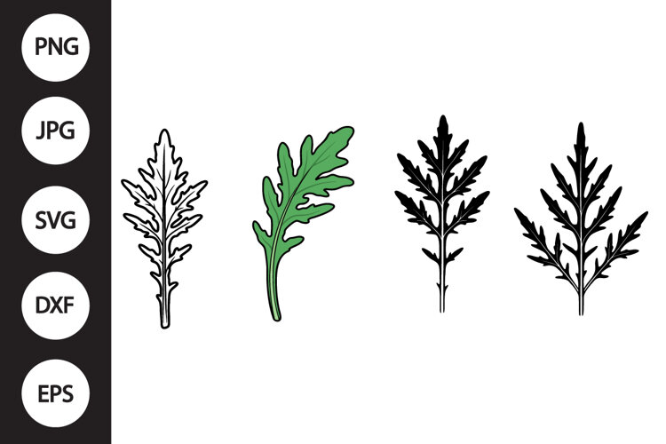 Mizuna Lettuce SVG, Mizuna Lettuce Clipart example image 1