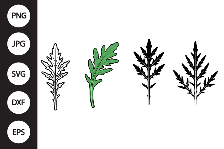 Mizuna Lettuce SVG, Mizuna Lettuce Clipart