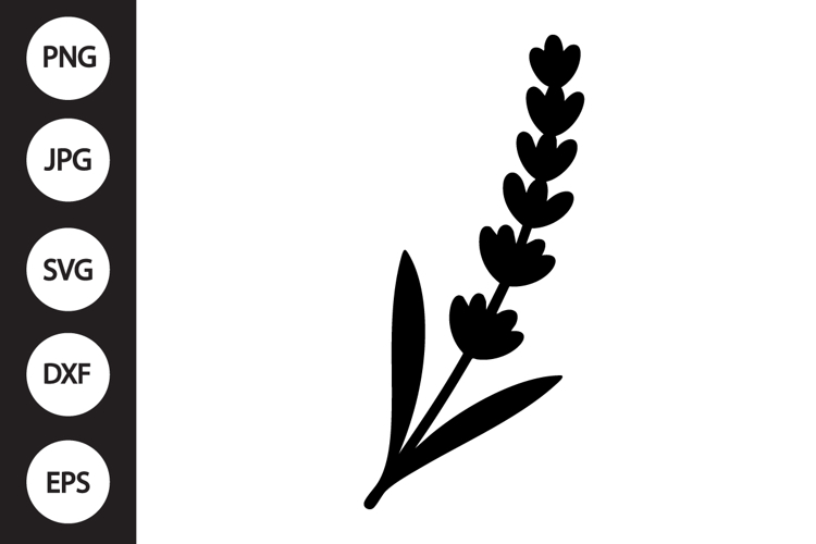 Lavender Botanical SVG