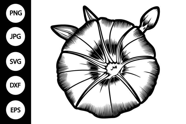 Outline Morning Glory Flower SVG