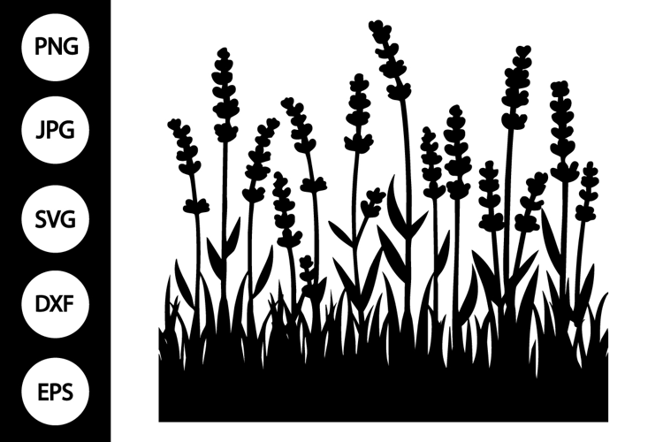 Silhouette Lavender SVG
