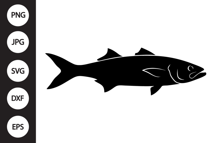 Barramundi Fish SVG