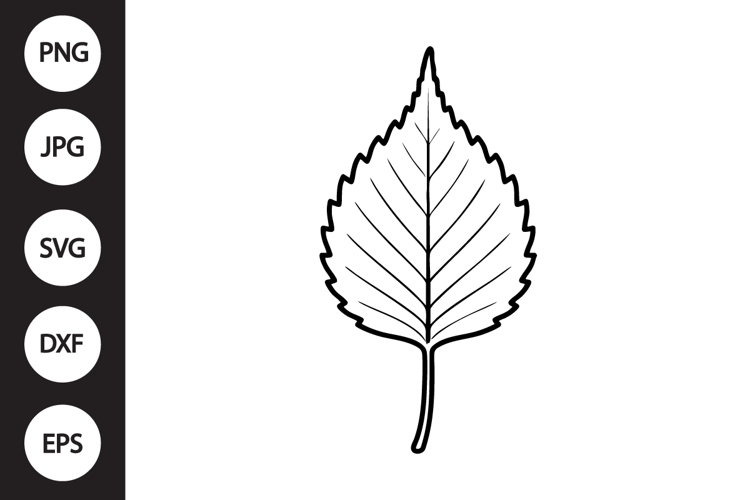 Birch Leaf SVG
