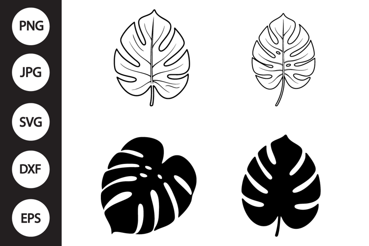 Monstera Leaf Clipart