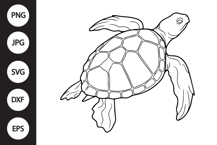 Turtle Clipart Image 17