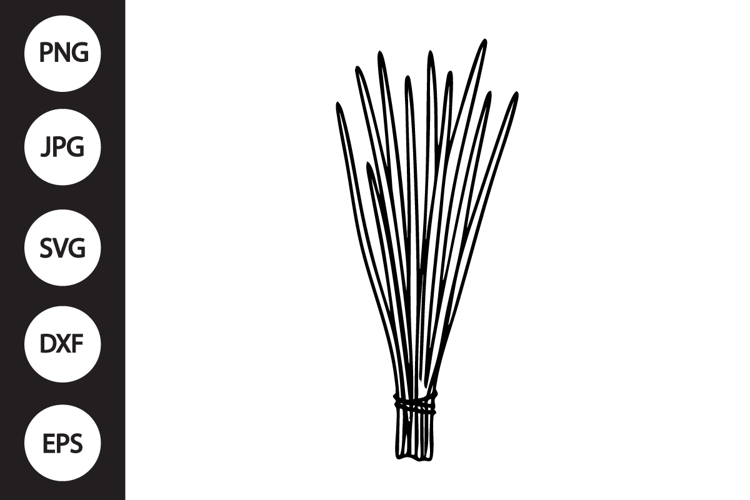 Chives SVG
