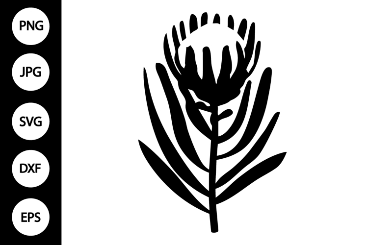 Flower Silhouette Image 5