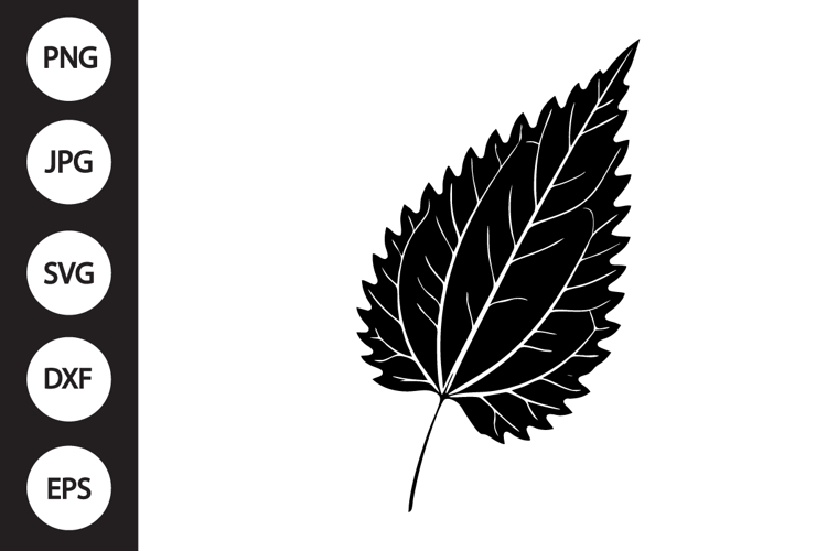 Nettle Leaf SVG example image 1