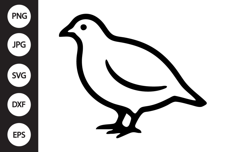 Partridge Bird SVG