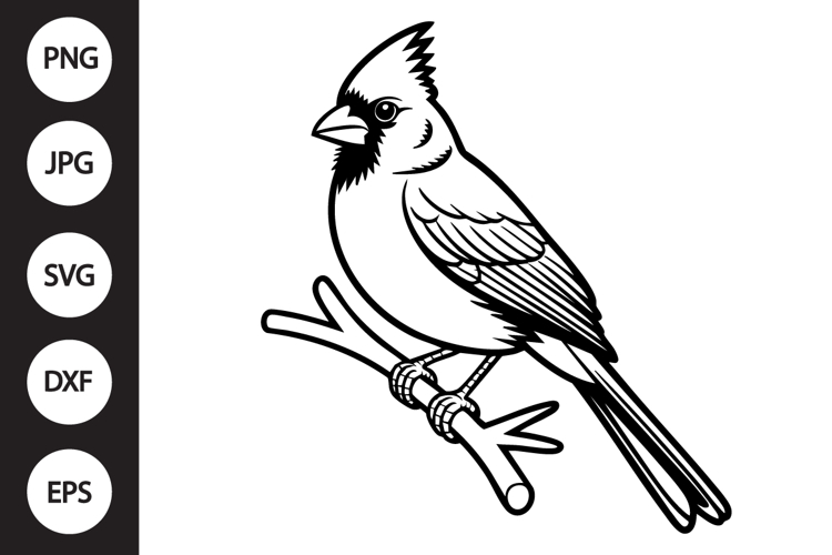 Cardinal Outline SVG, Coloring Page