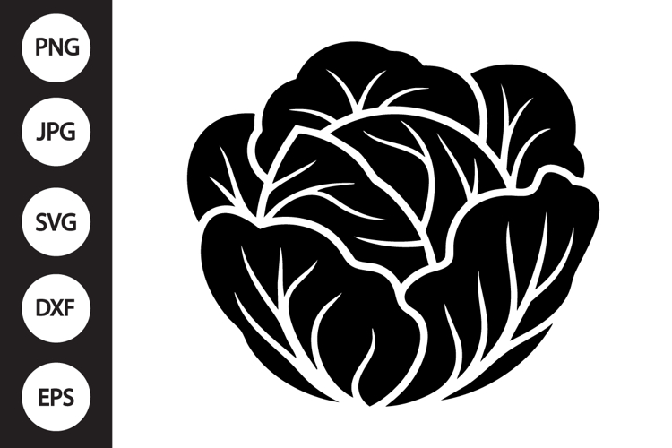 Cabbage Clipart Image 4