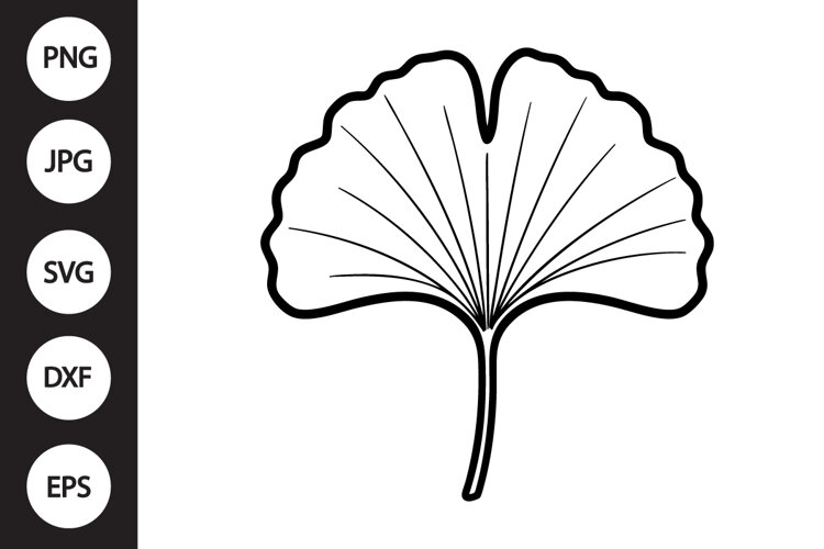 Gingko Leaf SVG example image 1