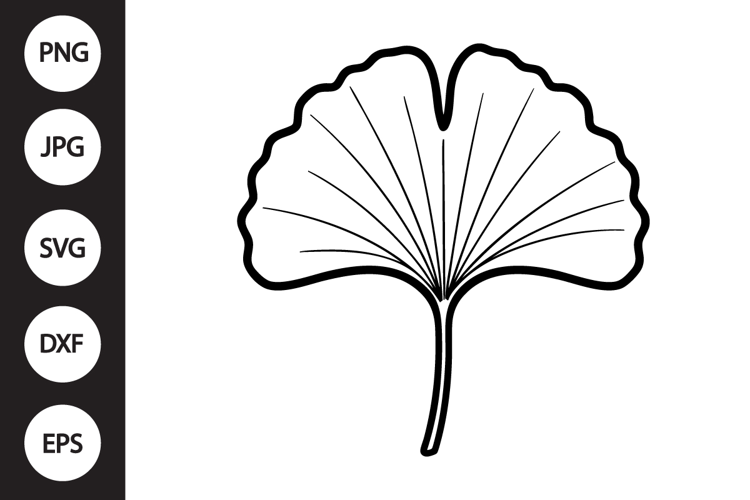 Gingko Leaf SVG