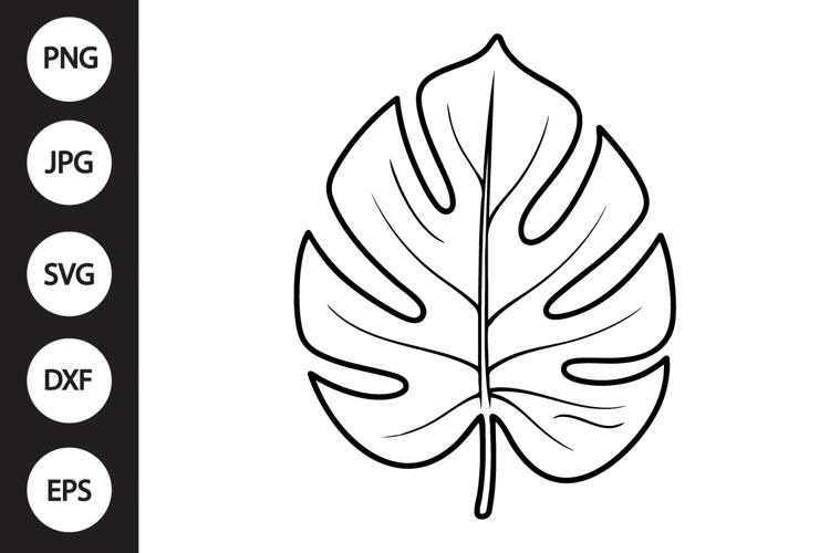 Monstera Leaf Clipart Image 4