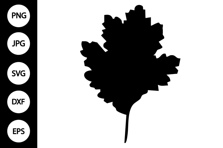 Leaf Silhouette Image 22