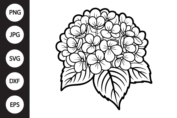 Hydrangea Clipart Image 7