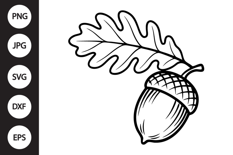 Acorn Silhouette Image 15