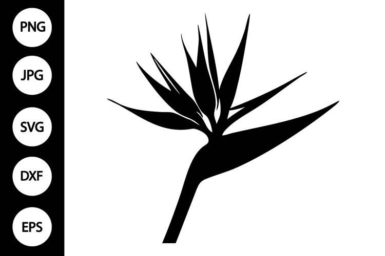 Bird Silhouettes Image 4