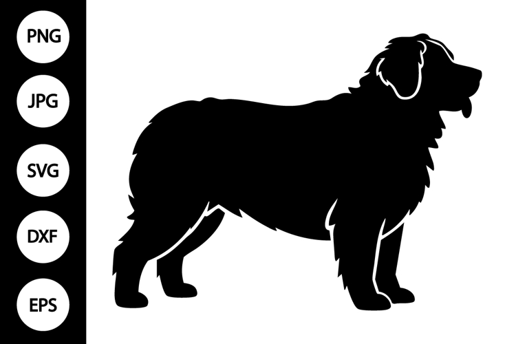 Bernese Clipart Image 13