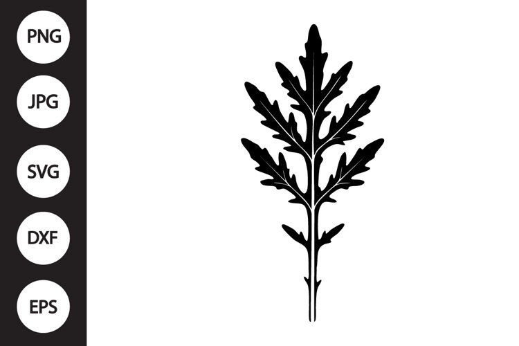 Mizuna Lettuce SVG example image 1