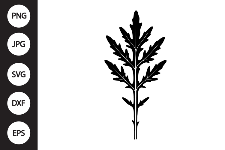 Mizuna Lettuce SVG