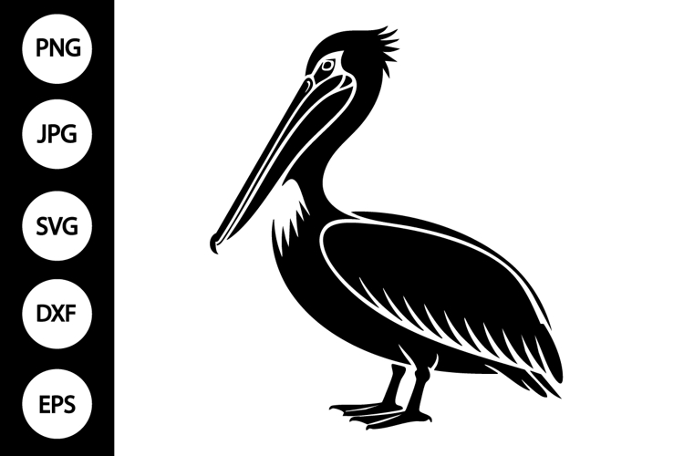 Pelican Clipart Image 23