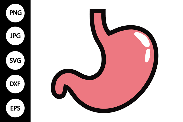 Stomach SVG