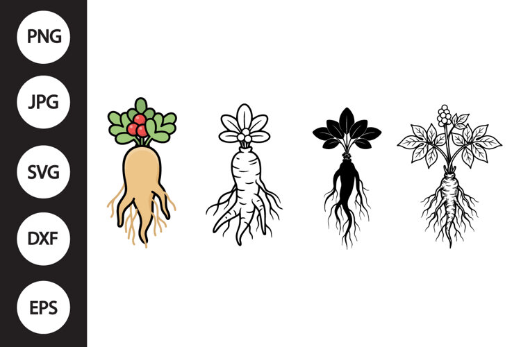 Ginseng SVG, Ginseng Clipart example image 1