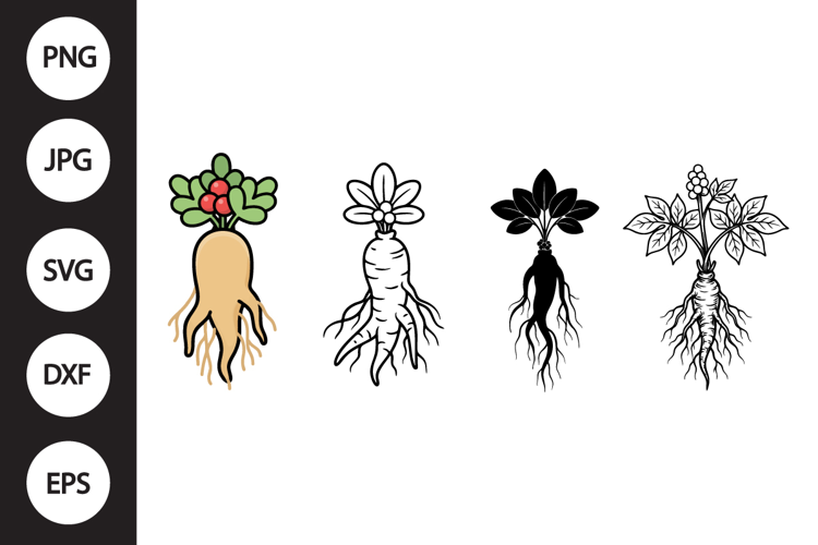 Ginseng SVG, Ginseng Clipart
