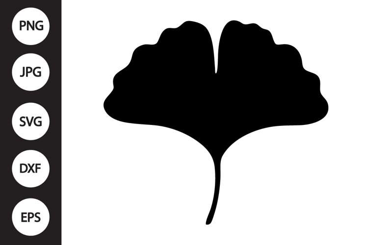 Gingko Leaf SVG example image 1