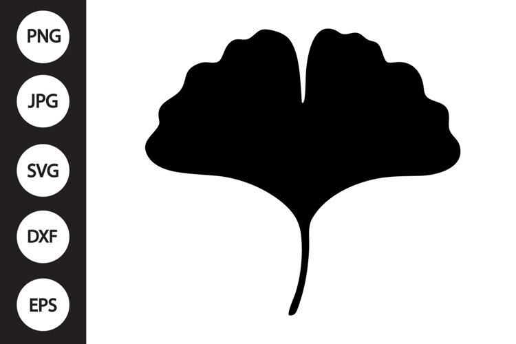 Gingko Leaf SVG